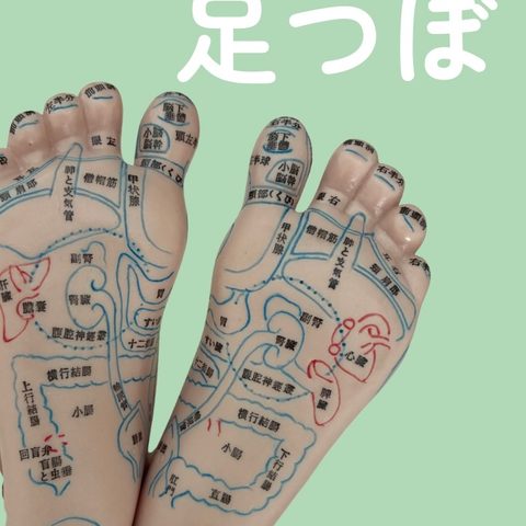 妊活中なら知っておきたい 甲状腺
